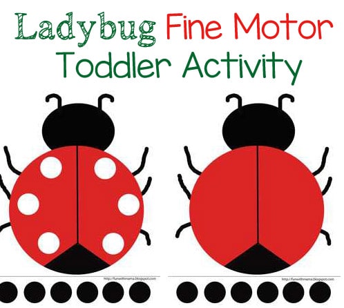 ladybug-feature