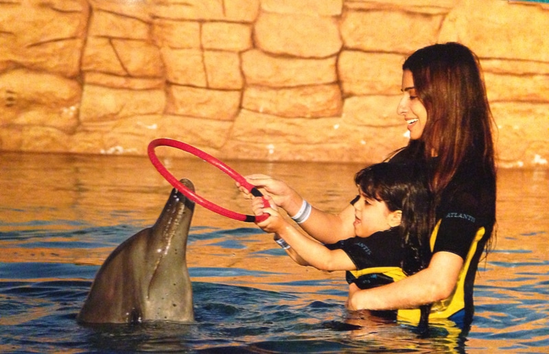 swim with the dolphins encounter dubai with kids
