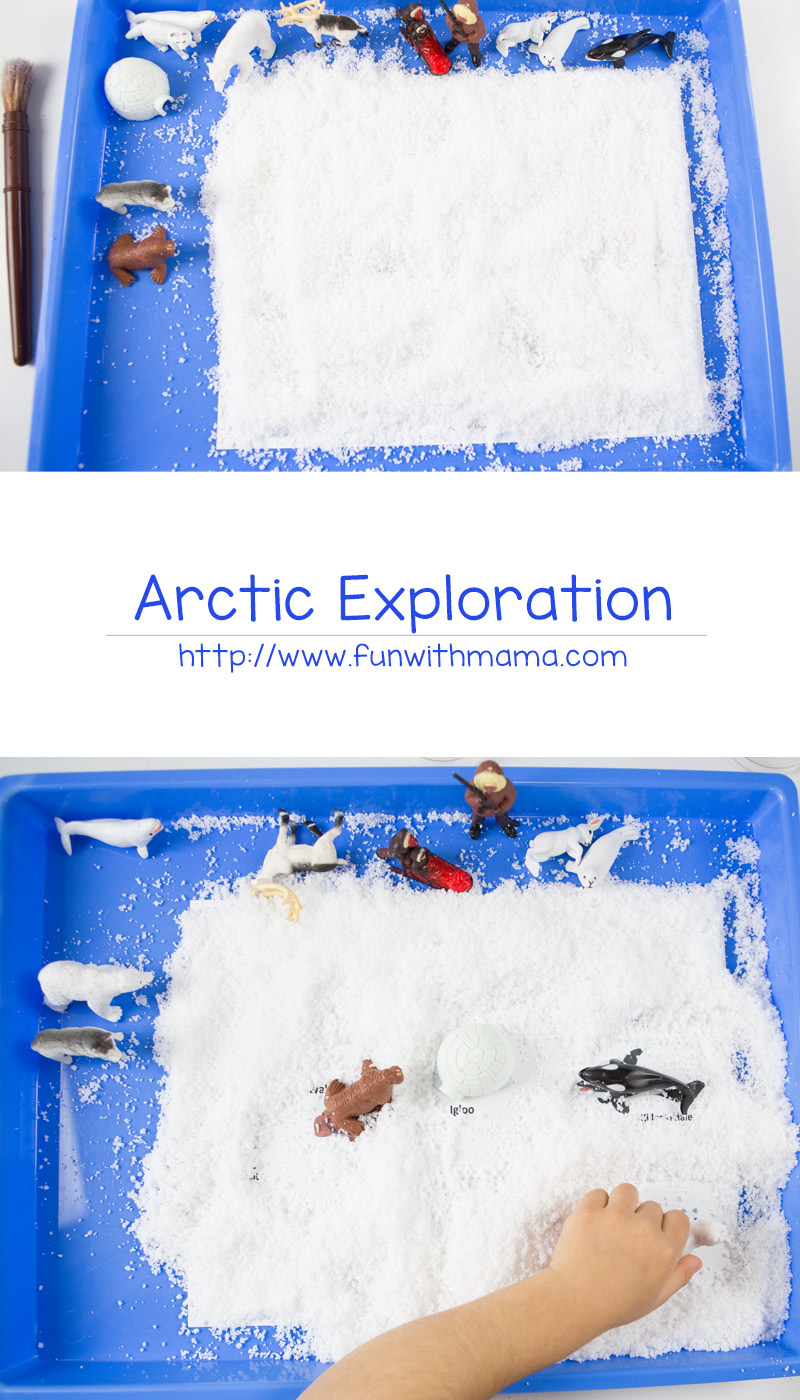 Printable Safari Ltd Toob toys fun snow hunt activity for kids. Your child will explore arctic animals with a sensory bin and work on fine motor skills.