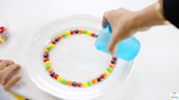 skittles rainbow science experiment