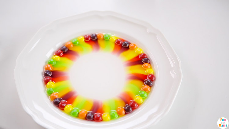 skittles experiment with water