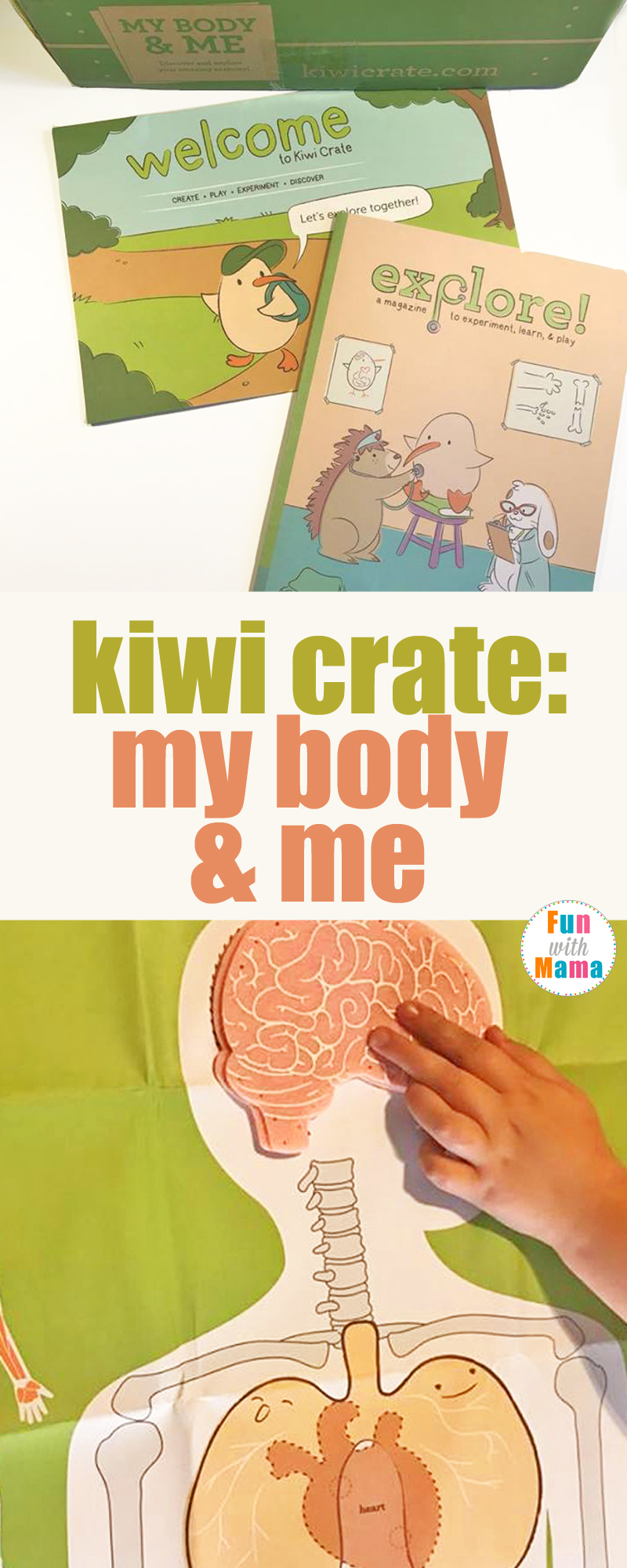 Kiwi Crate My Body and Me Review