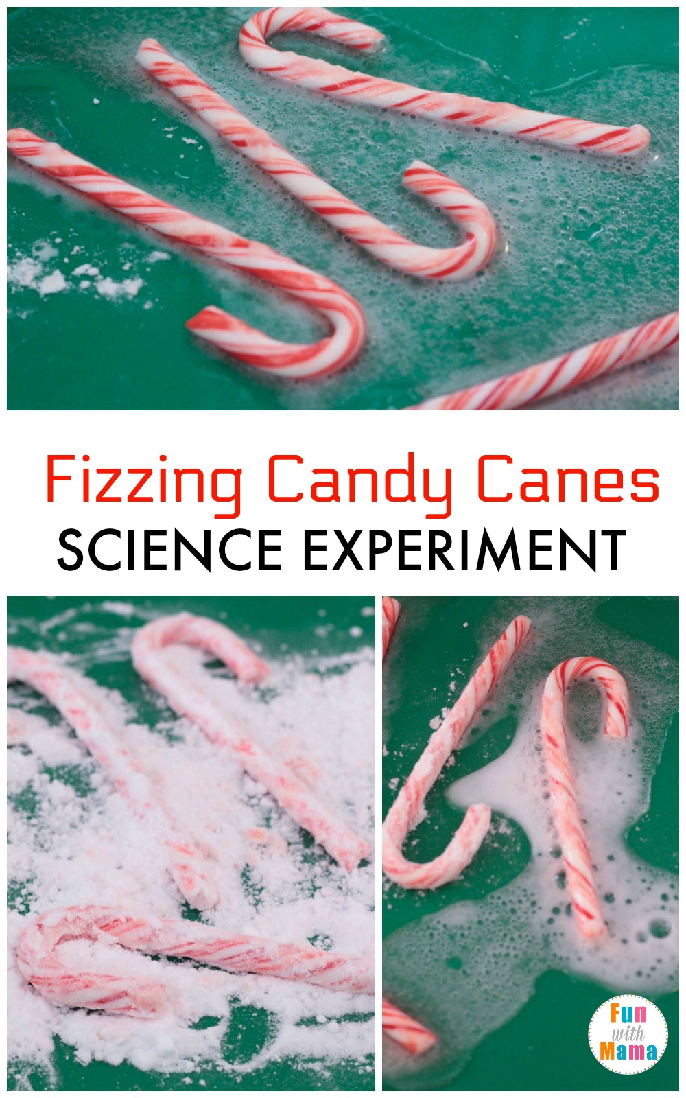 Fizzy Candy Canes Science Experiment 