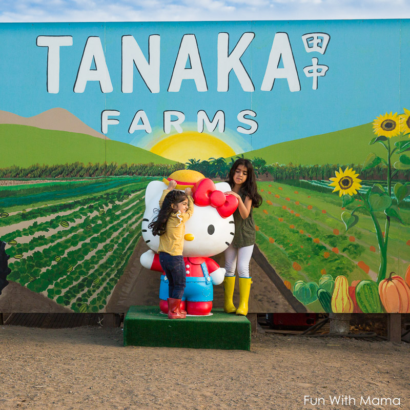 tanaka farms