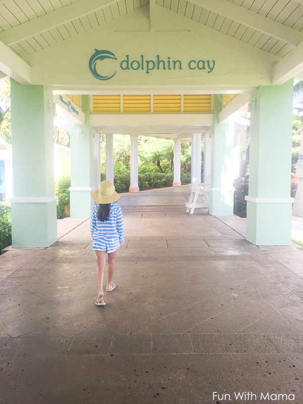 The Atlantis Dolphin Cay