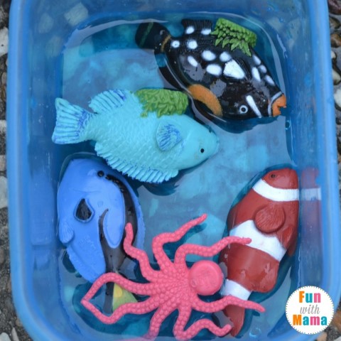 Under the sea sensory bin playing with fish 2 (Small)