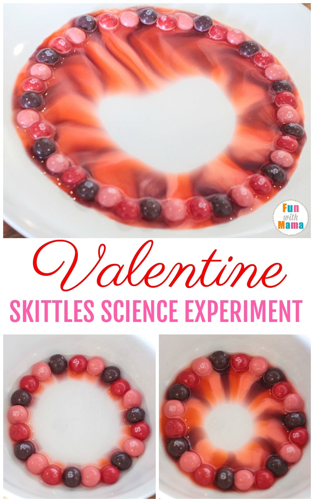 Dissolving skittles experiment for kids - perfect candy science fair project