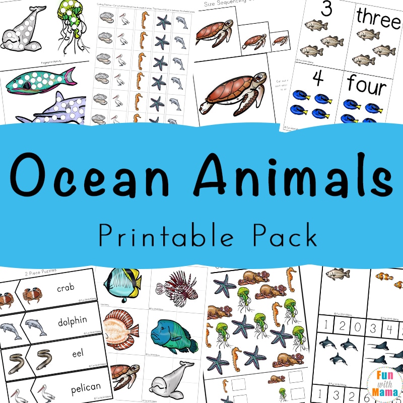 ocean animals