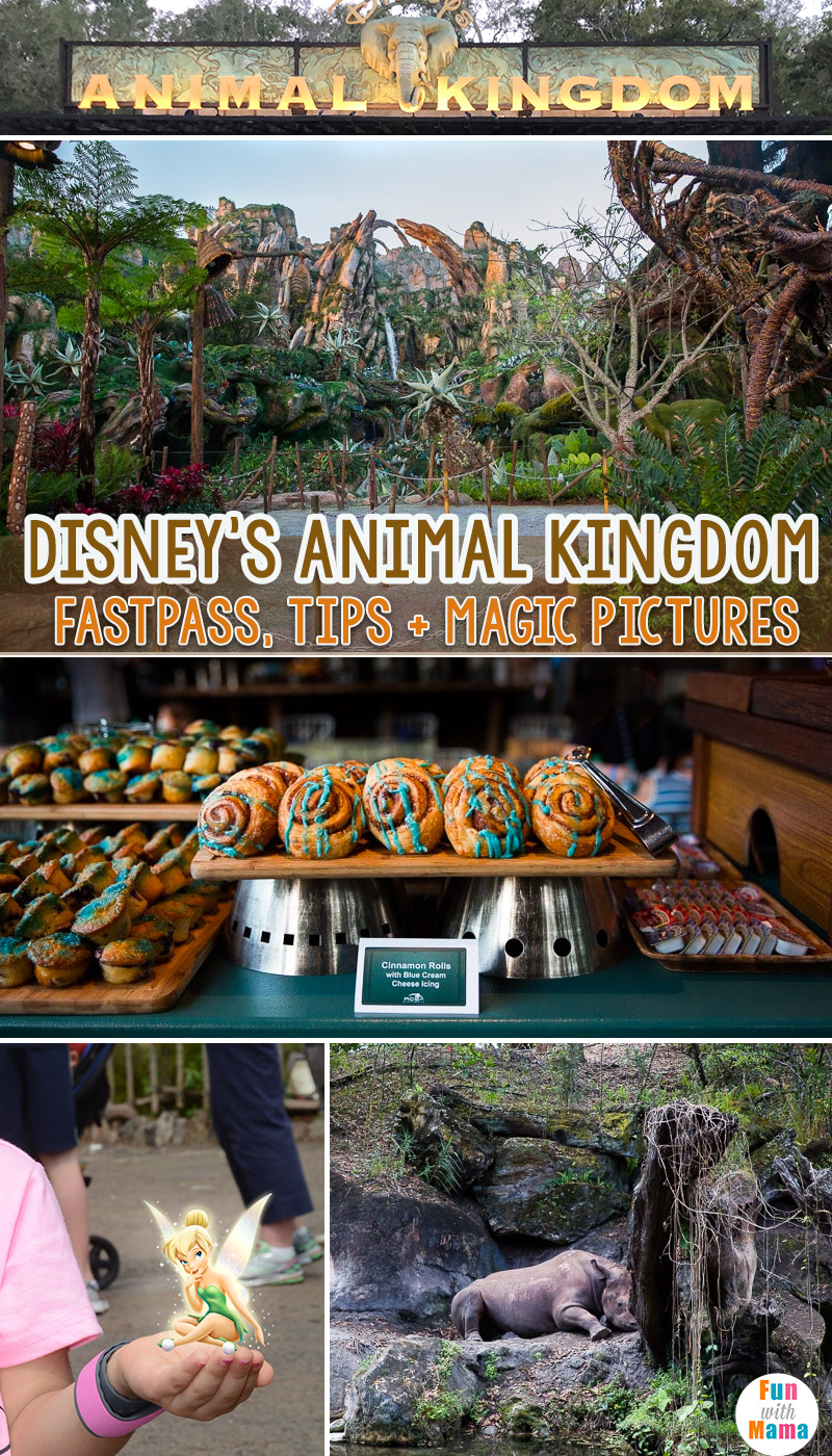 Disney world animal kingdom fastpass tips