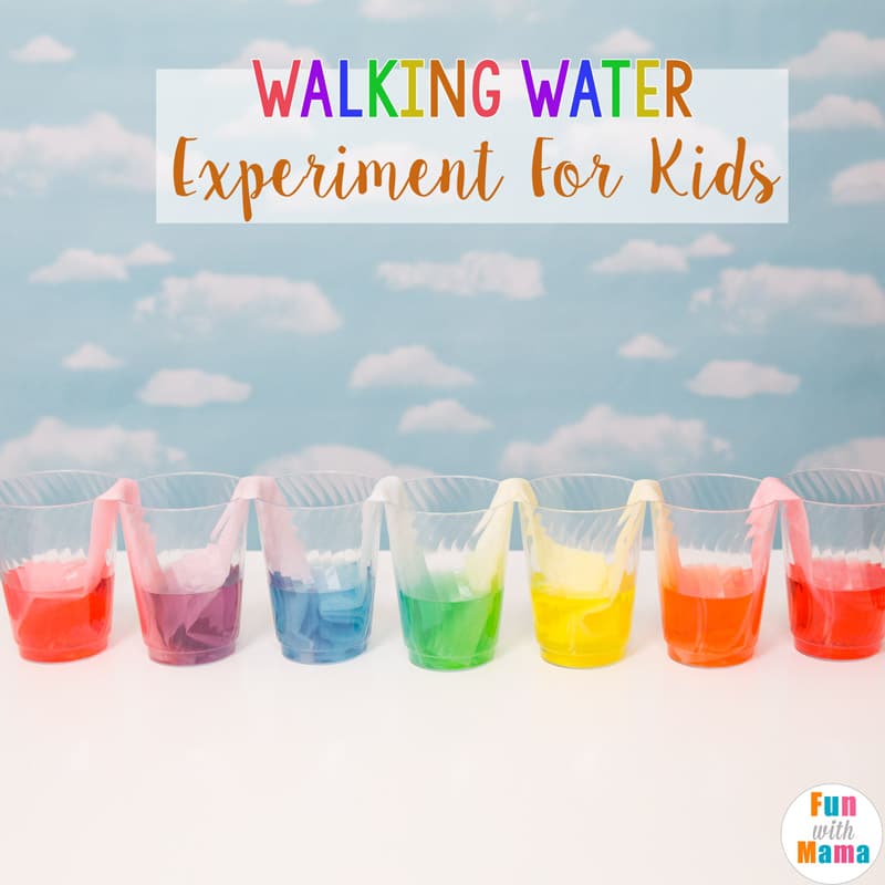 What Is Walking Water Experiment