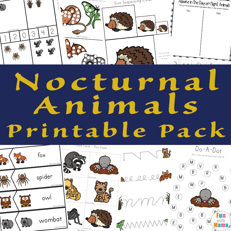 Nocturnal Animals For Kids - Fun with Mama