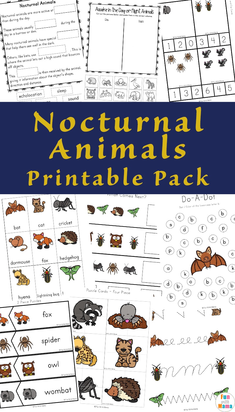 Teaching kids about Nocturnal animals is not only fun but can help teach many different areas. This includes counting, sorting and of course nocturnal animals. 