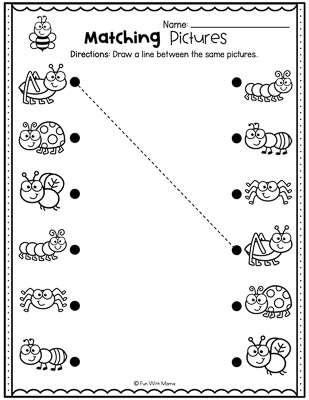 match the pictures activities for preschoolers about insects