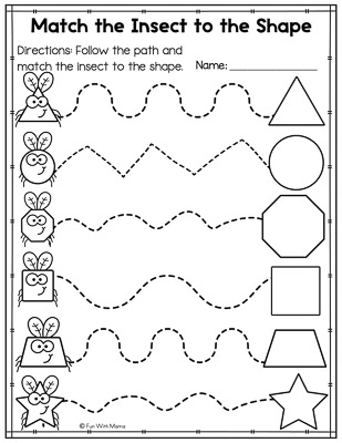 match the insects to the shape