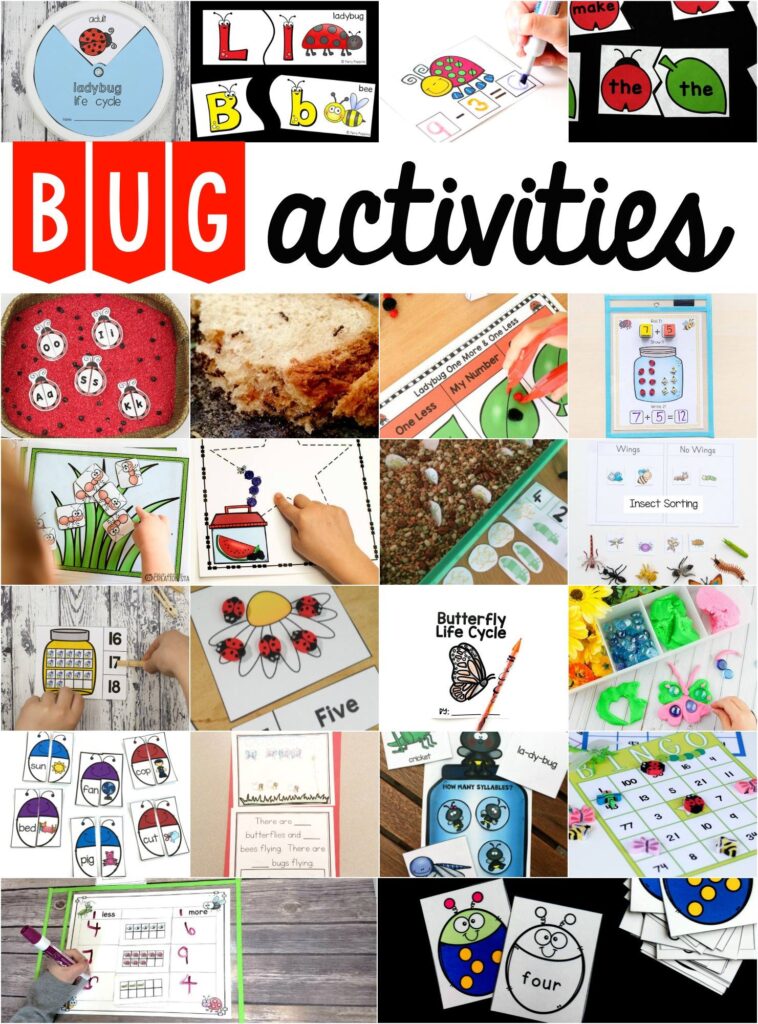Preschool Insect Theme Sorting Worksheet + Bug Activities - Fun with Mama