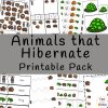 Hibernation Activities - Animals that Hibernate - Fun with Mama