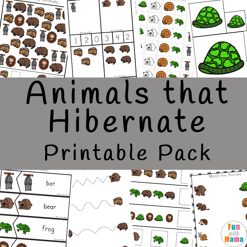 animals that hibernate cover