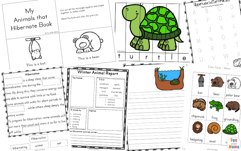 Animals that Hibernate Printable Pack - Fun with Mama