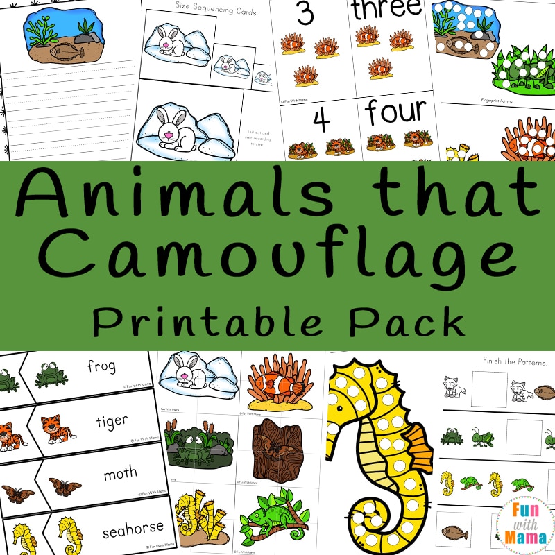 Animals that Camouflage - Fun with Mama