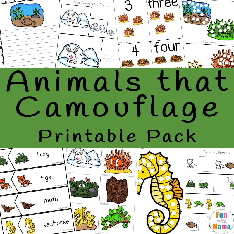 Animals that Camouflage - Fun with Mama Animals that Camouflage - Fun with Mama