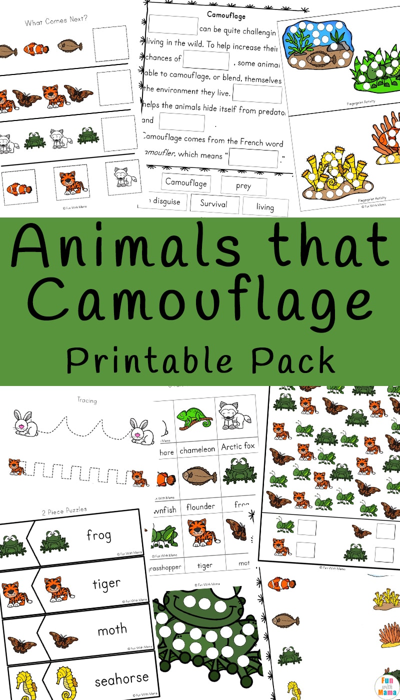 Animals that Camouflage - Fun with Mama Animals that Camouflage - Fun with Mama