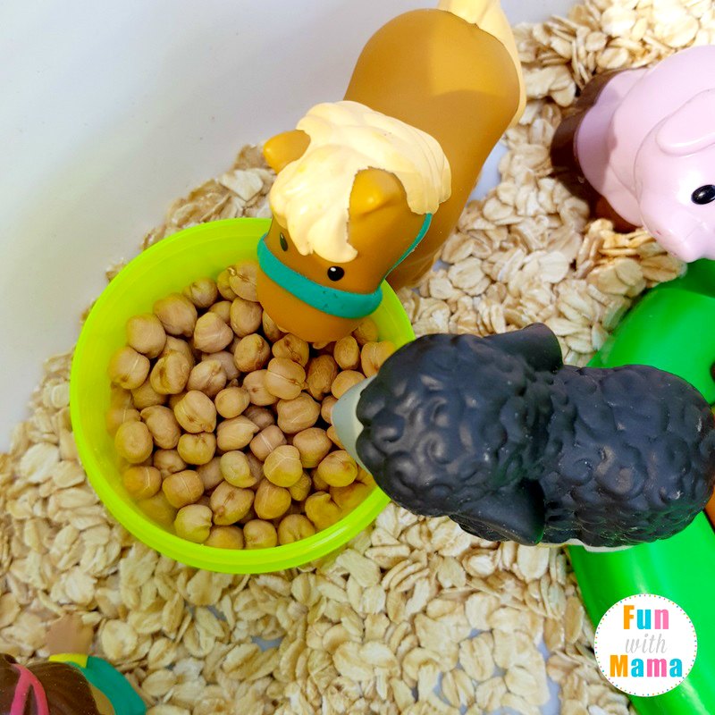 farm sensory bin feeding the animals