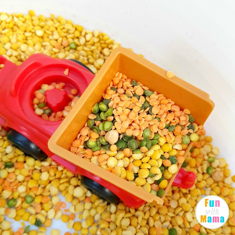 Farm Sensory Bin - Made To Be A Momma