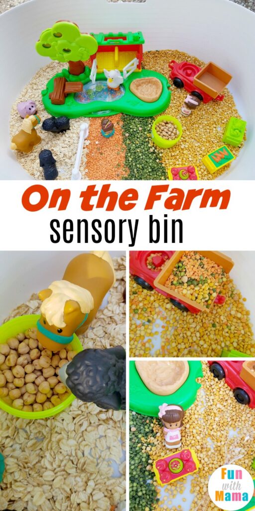 on the farm sensory bin
