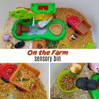 on the farm sensory bin square