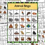 Animals that Camouflage - Fun with Mama