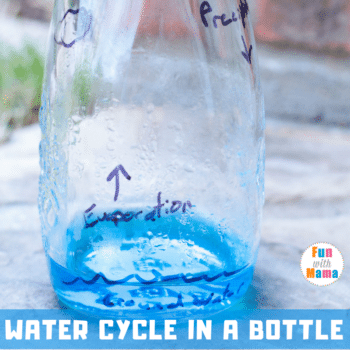 water cycle in a bottle