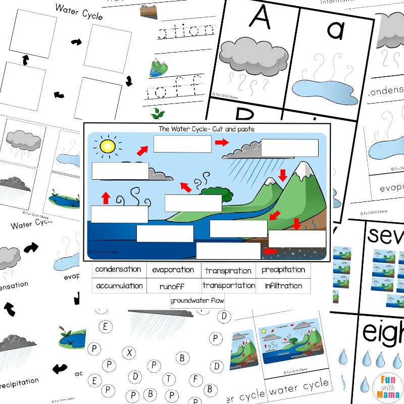 colored printables of water cycle 