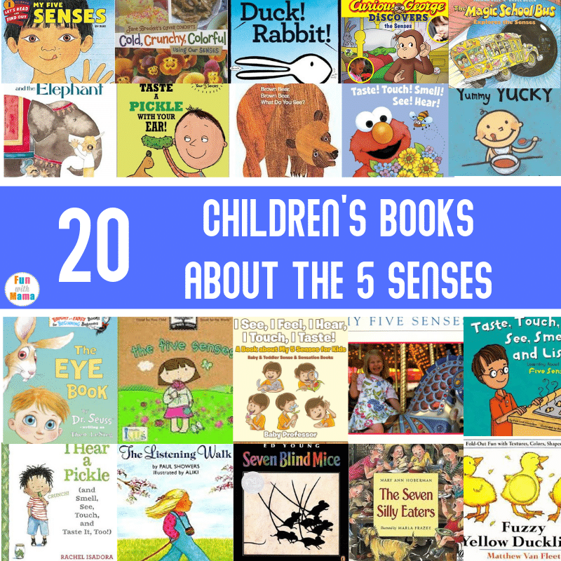 books about the 5 senses