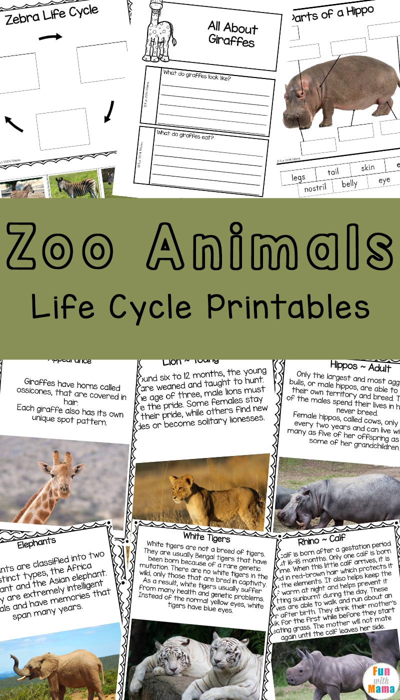 Zoo Animals Life Cycle Printables - Fun with Mama