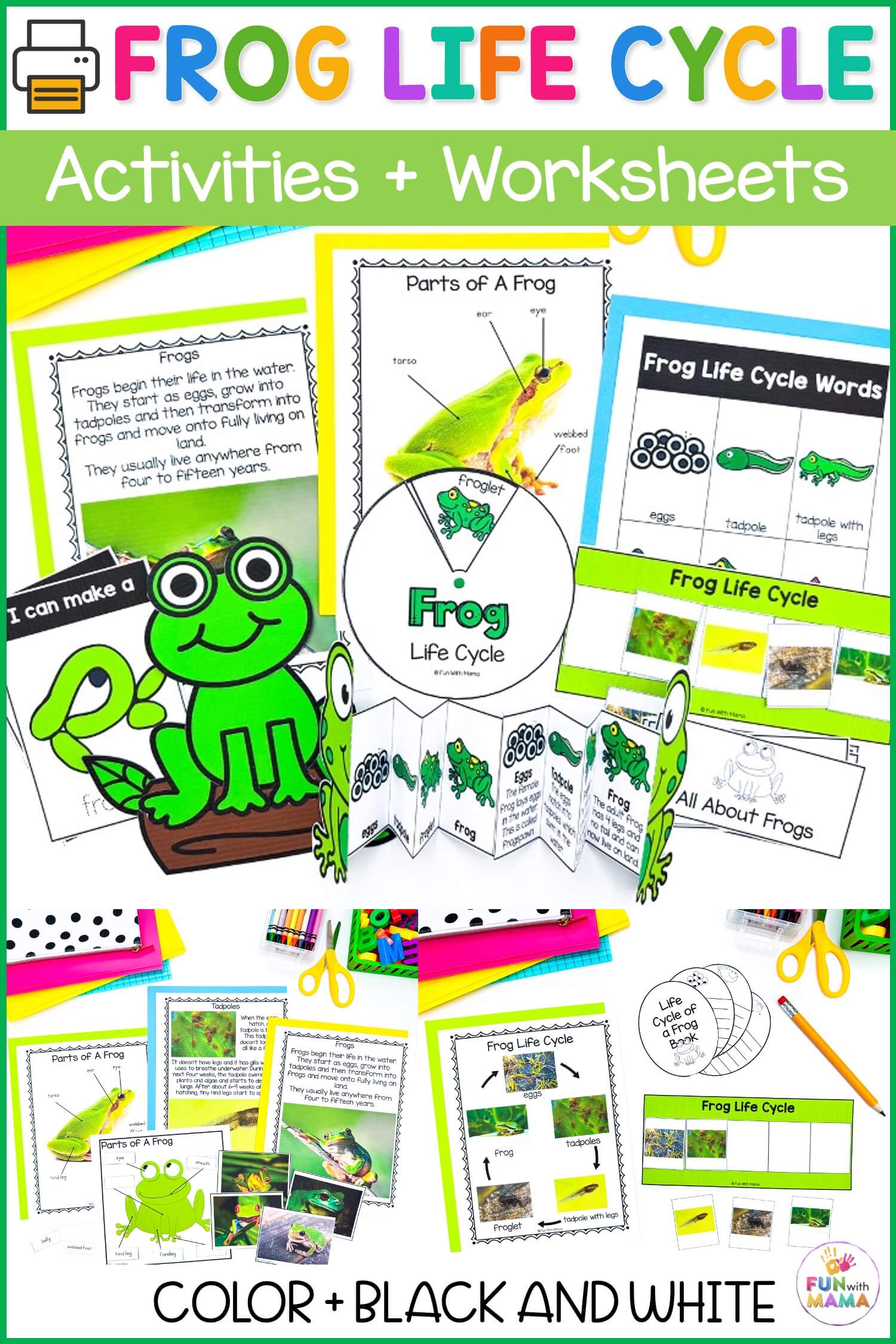 frog life cycle activities