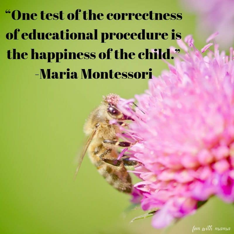 Maria montessori quotes