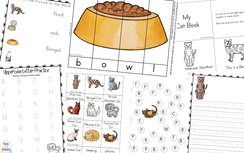 preschool printable worksheets about cats 