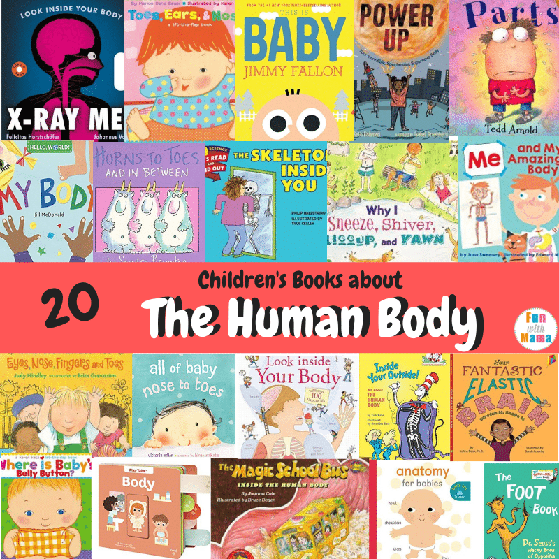 Verleiden bedriegen Pijler 20 Children's Books about the Human Body - Fun with Mama