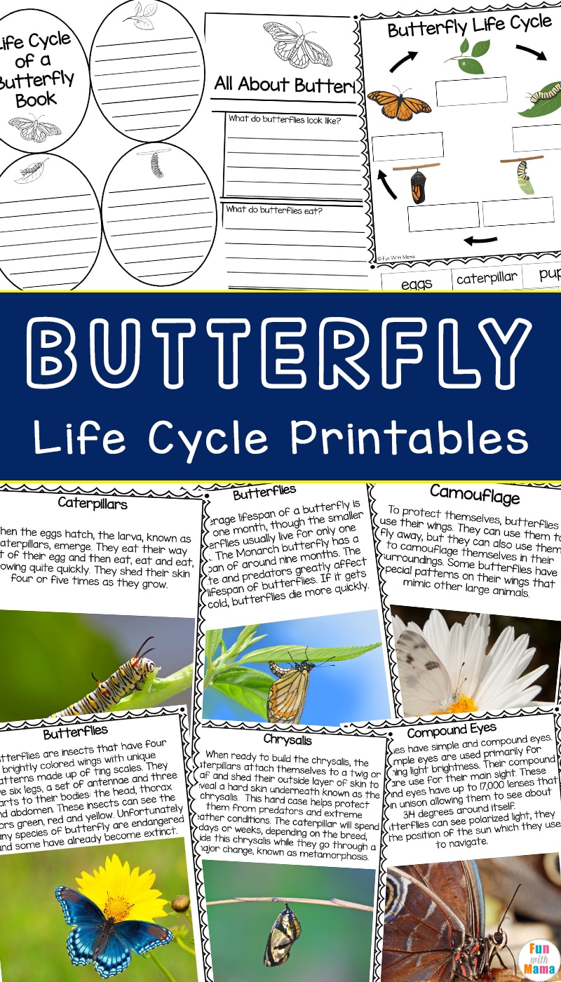 Life Cycle of a Butterfly Printable Pack