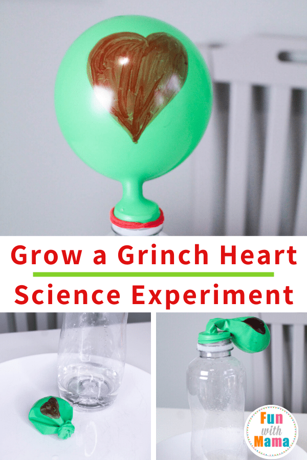 growing a grinch heart science experiment