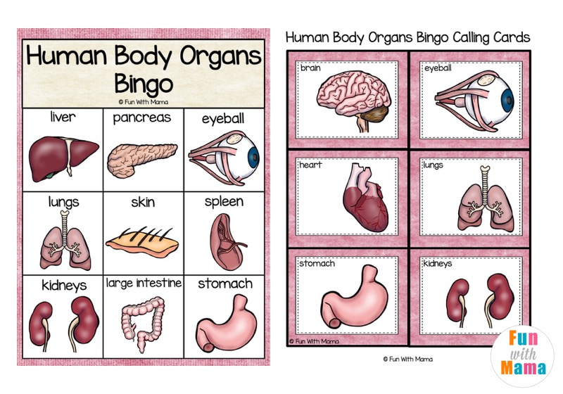 bingo printable for kids 