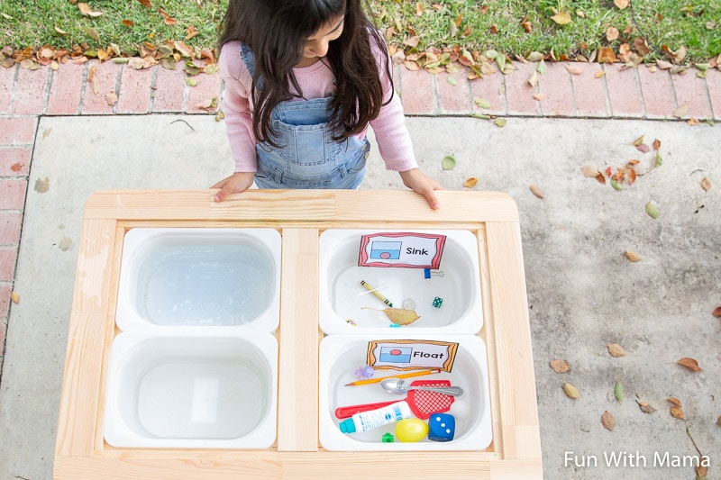 sink or float experiment