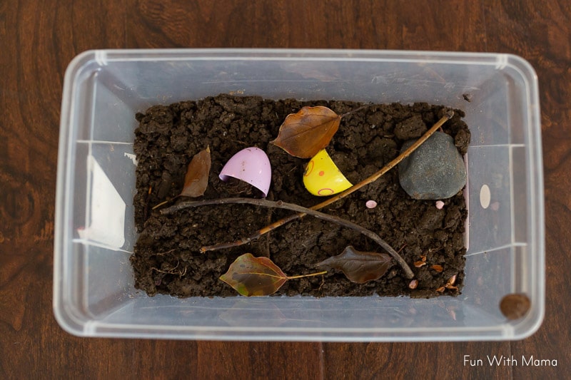snail habitat in a plastic box 