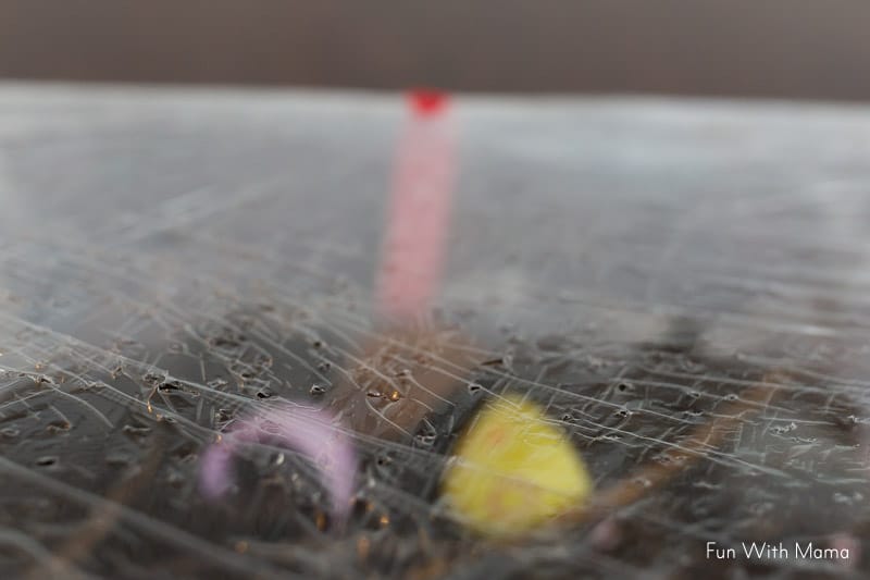 air holes in the snail habitat 