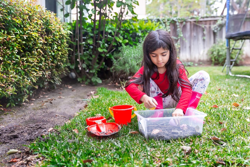 planning out a DIY snail habitat 