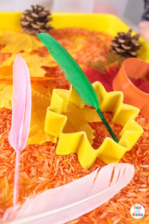 Thanksgiving Sensory Bin 