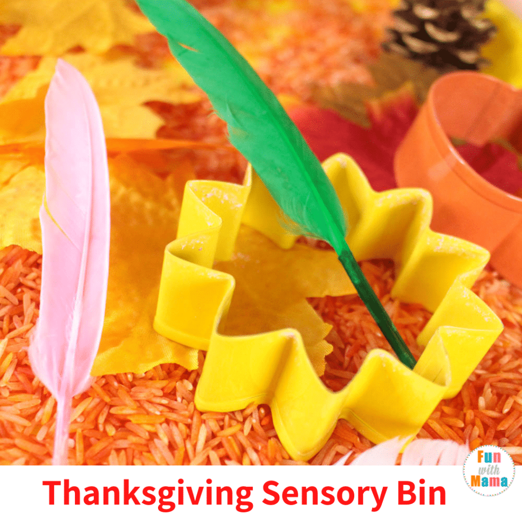 Thanksgiving sensory bin