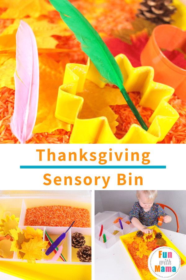 Thanksgiving Sensory Bin 