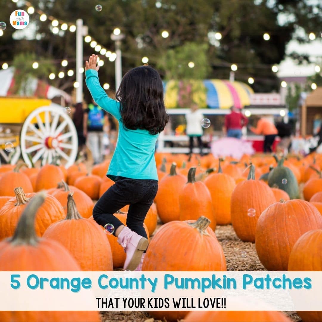 pumpkin patch orange county