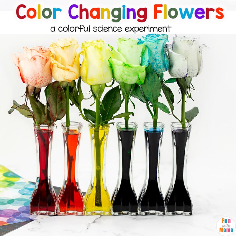 flowers in a vase for color changing flowers
